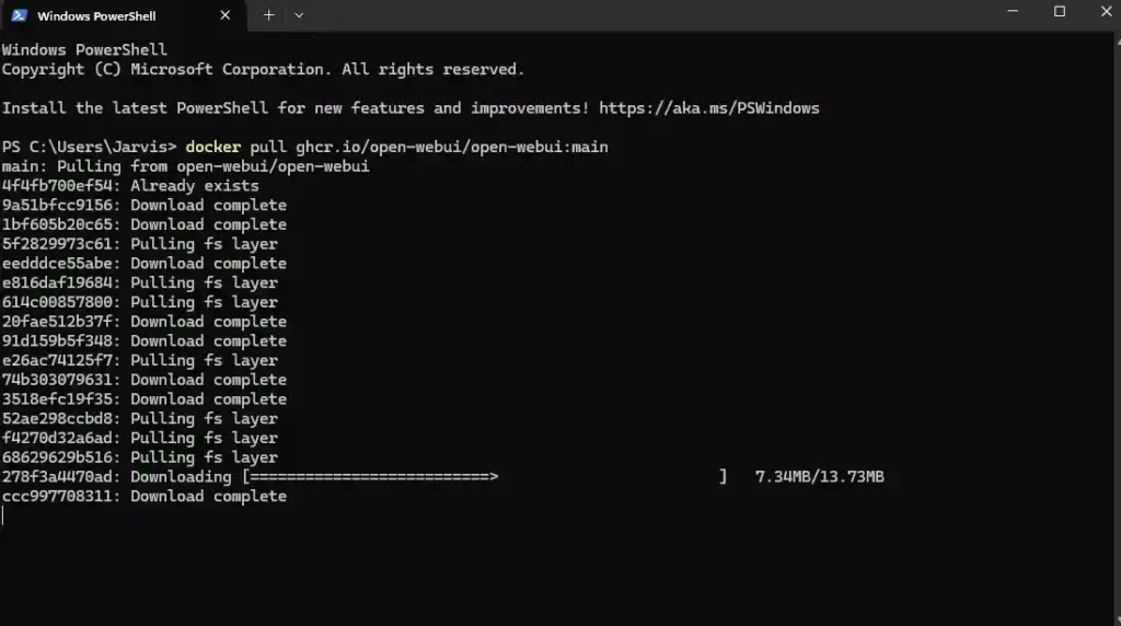 pull the official image in PowerShell