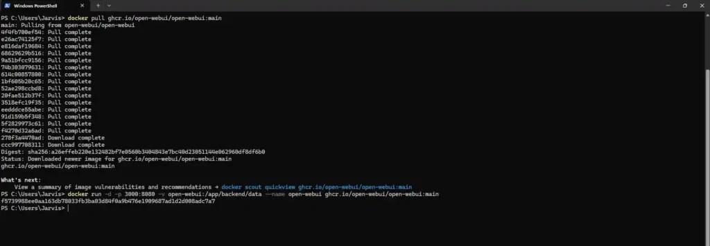Run the container with persistent storage